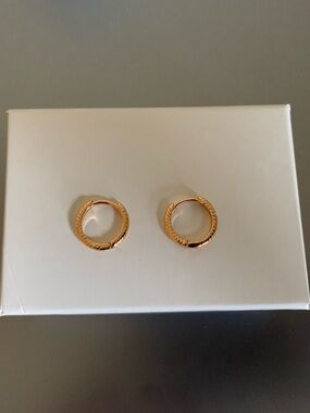 Sterling Forever Gold Plated Hoop Earrings